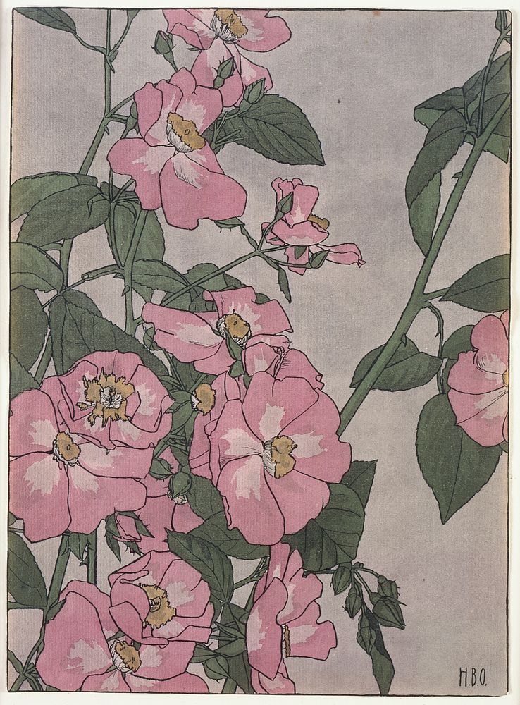 Untitled (Prairie Rose) (ca.1915) by Hannah Borger Overbeck. 