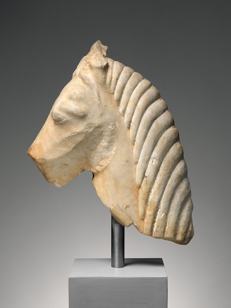 Marble head of a horse
