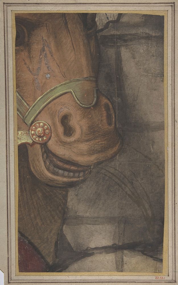 Horse's head, School of Raphael (Raffaello Sanzio or Santi)