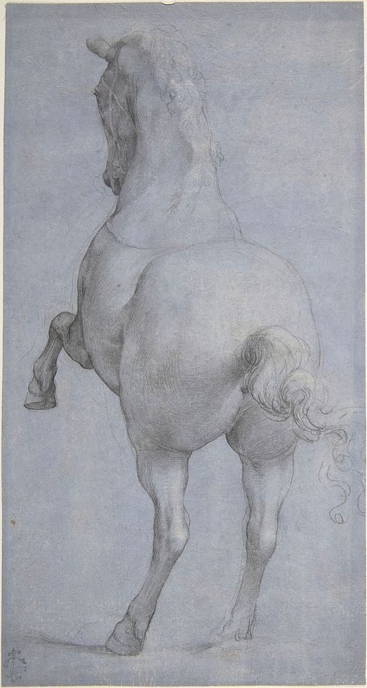 Rearing Horse in Rear Three-Quarter View 