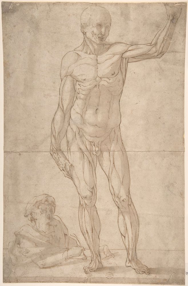 Study of Anatomy: A Youth Drawing an Ecorché of a Standing Man.