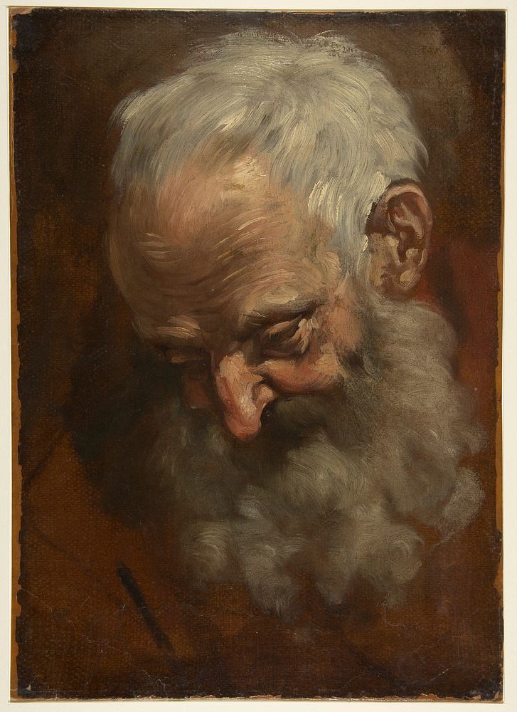 Head of a Bearded Man (Nicodemus) by Giacomo Cavedone