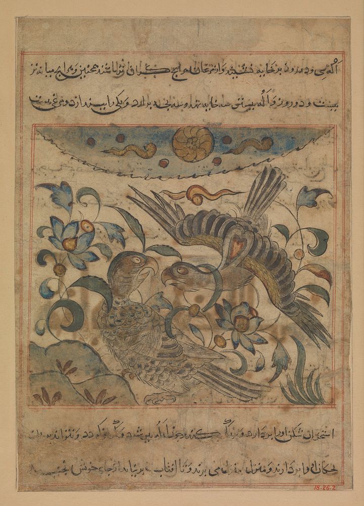 Pair of Eagles", Folio from a Manafi' al-hayawan (On the Usefulness of Animals) of Ibn Bakhtishu'