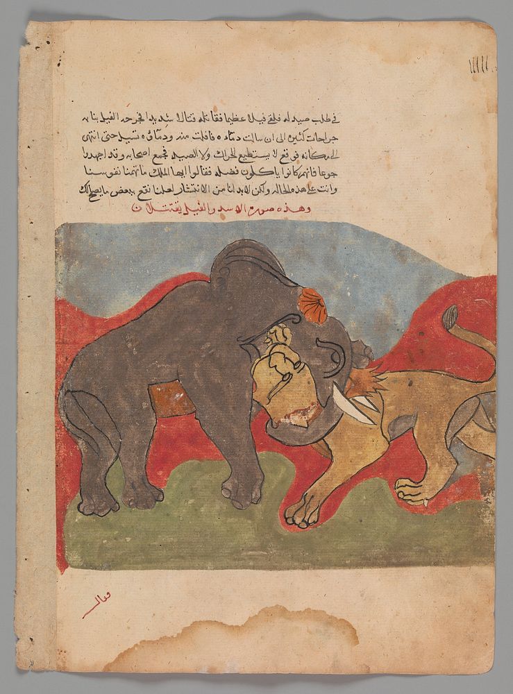 "The Lion and the Elephant Fighting", Folio from a Kalila wa Dimna, second quarter 16th century