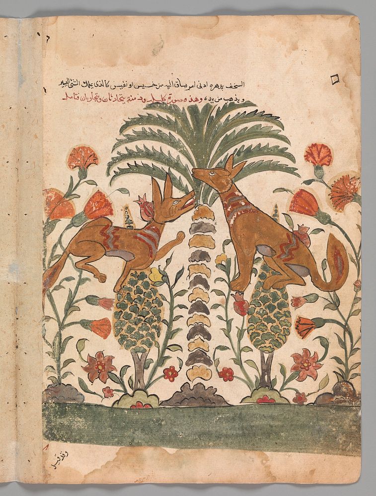 "Kalila Upbraiding Dimna", Folio from a Kalila wa Dimna, second quarter 16th century