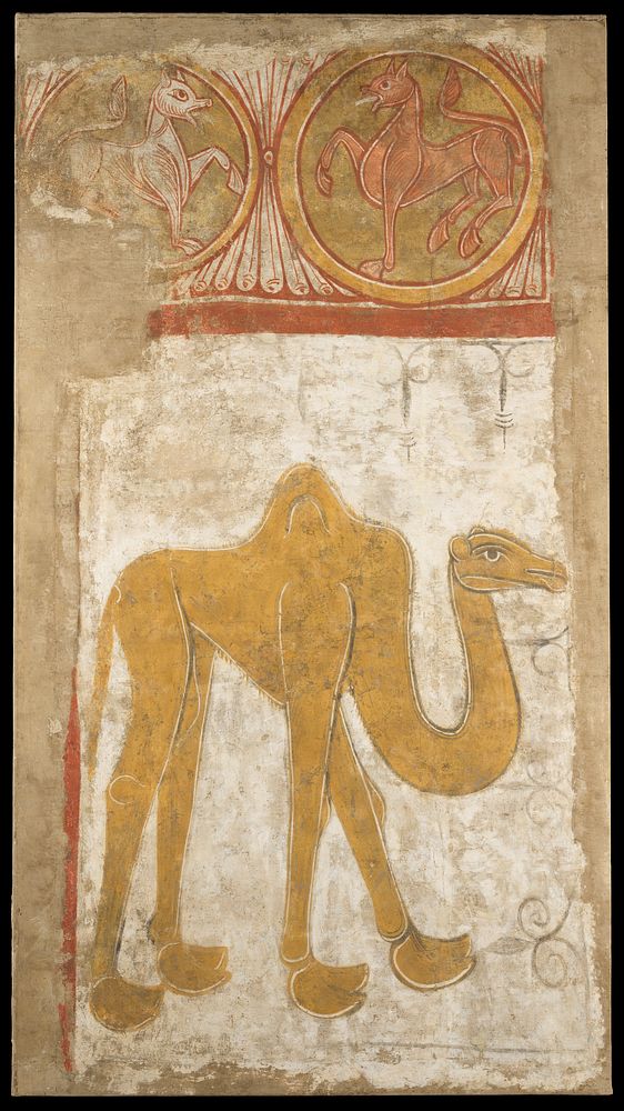Camel, Spanish