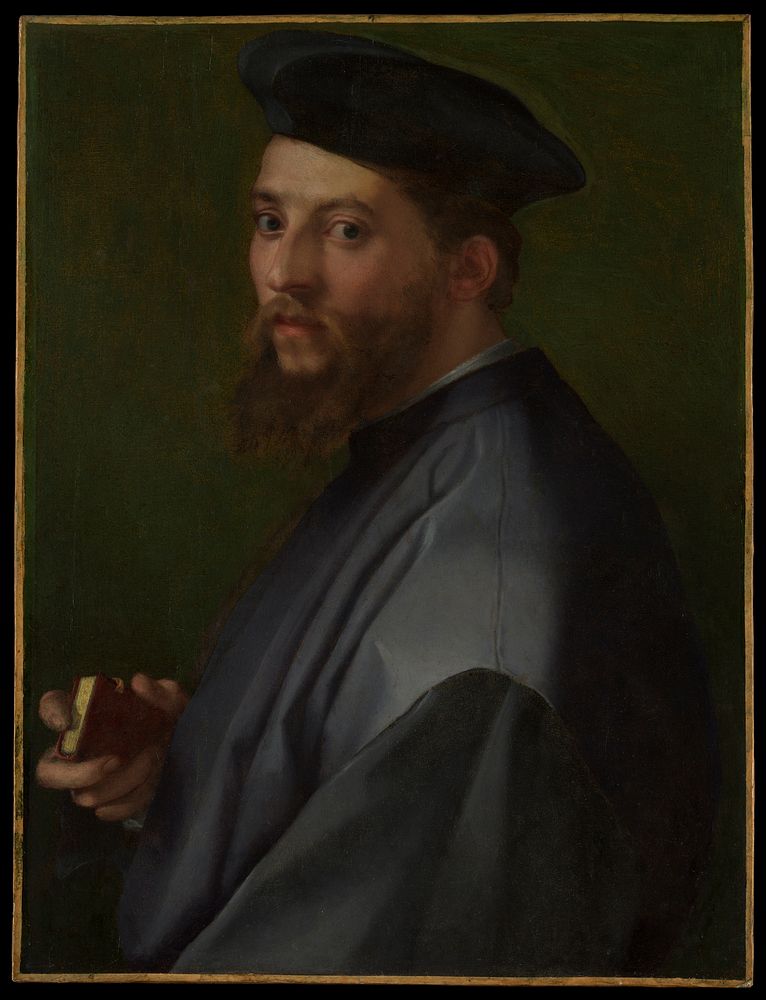 Portrait of a Man by Andrea del Sarto (Andrea d'Agnolo)