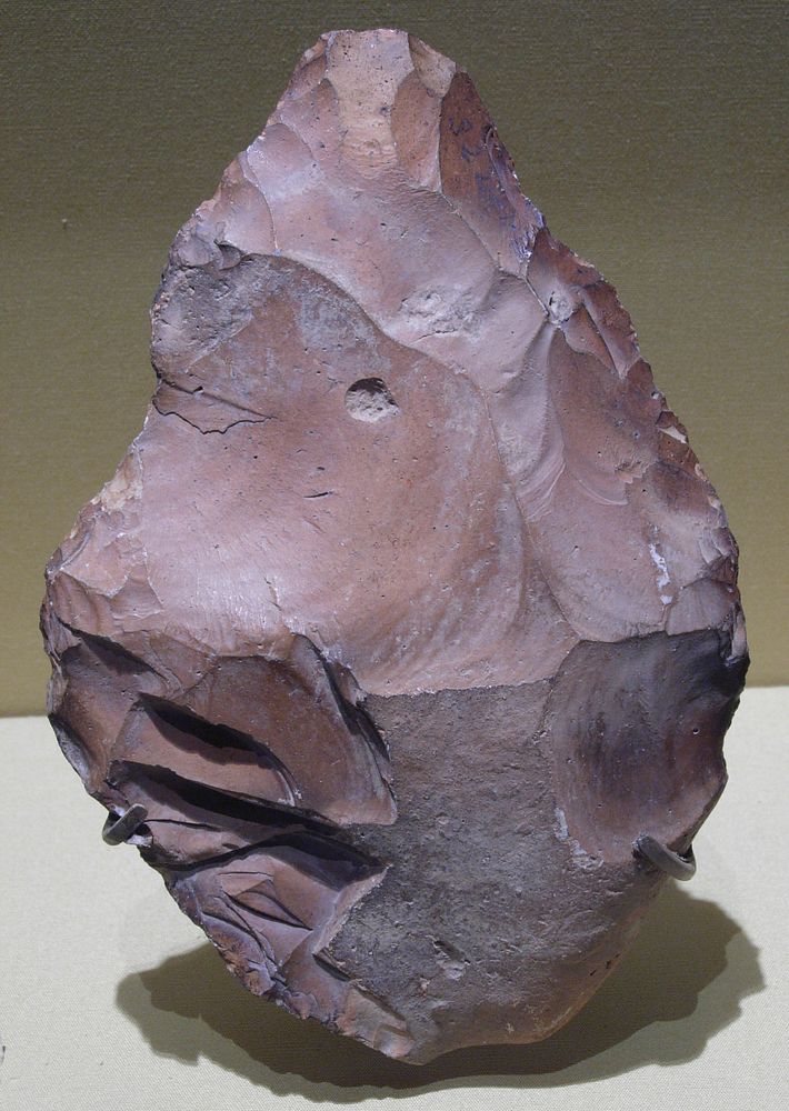 Biface, commonly referred to as a hand ax