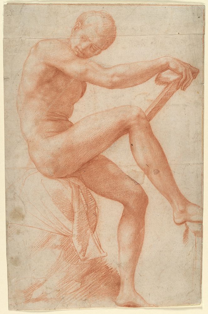 Seated Male Nude by Francesco Salviati (Francesco de' Rossi)