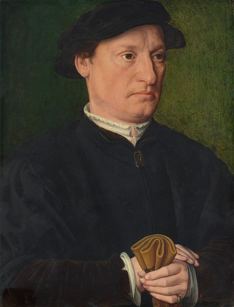 A Member of the de Hondecoeter Family (1543) by Antwerp 16th Century.  