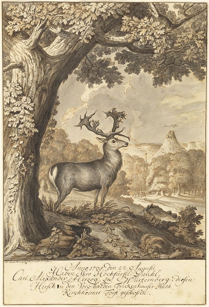 A Stag beneath a Mighty Oak (1735) drawing in high resolution by Johann Elias Ridinger.  