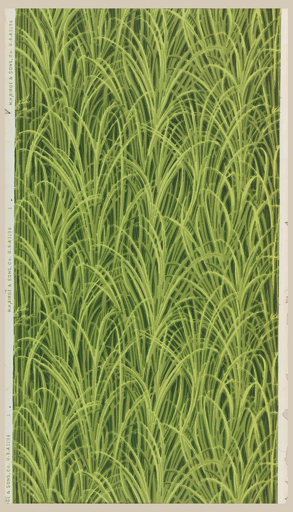 Sidewall (1903–1904) from M.H. Birge & Sons Co.  