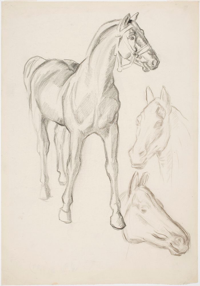 Horse, Hevosia by Alfred William Finch