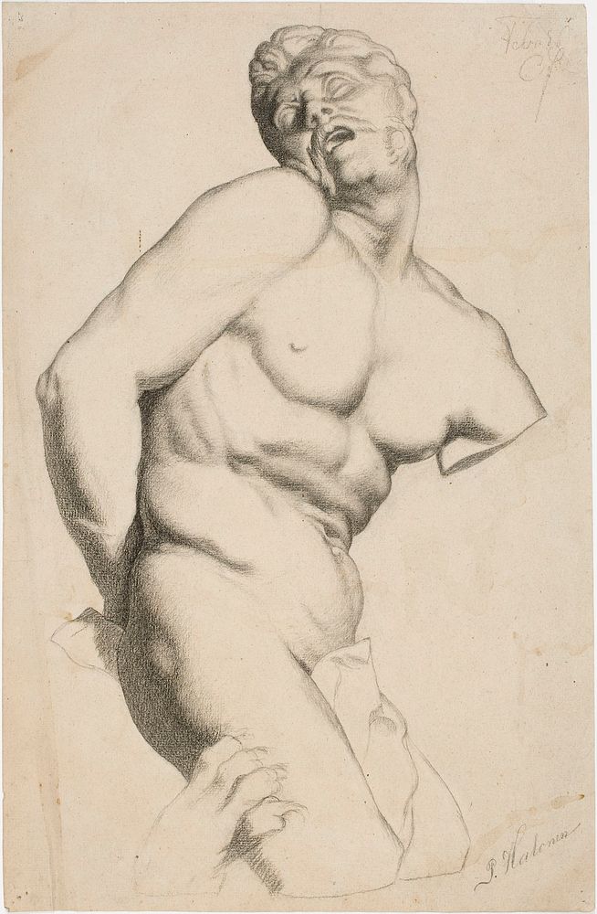 Milo of croton, part of p. puget's sculpture group, 1886