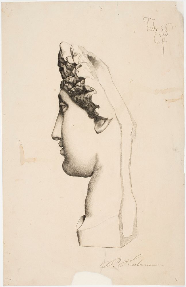 Female head, 1886