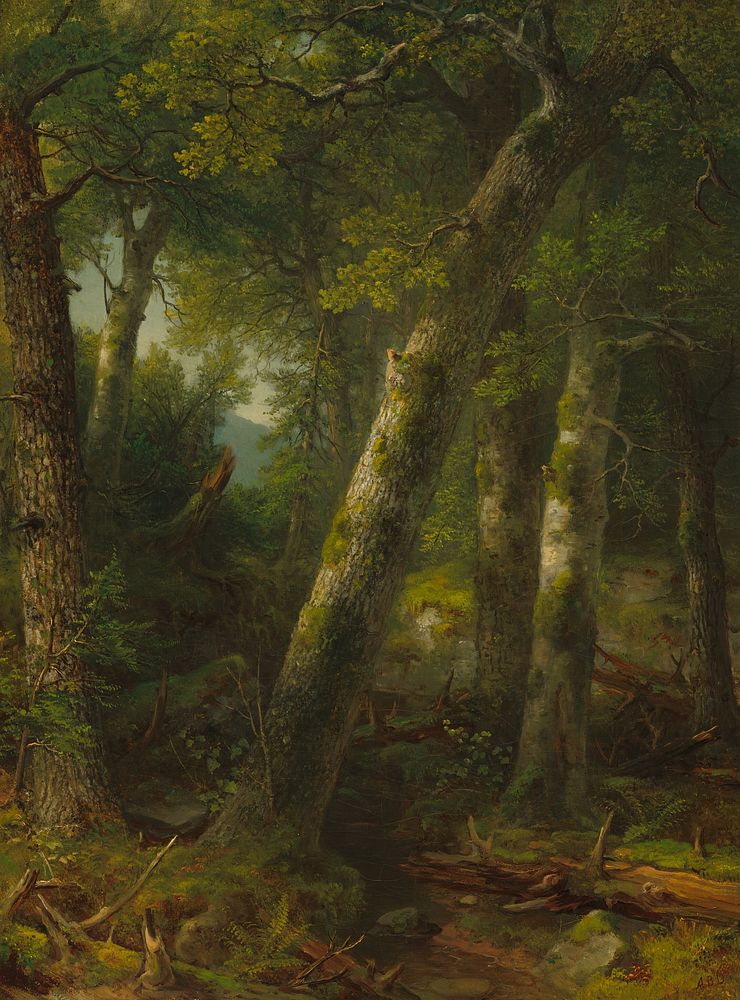 Forest in the Morning Light (c. 1855) by Asher Brown Durand.  
