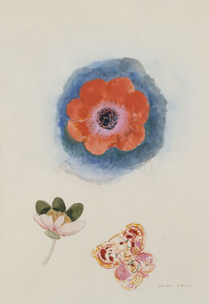 Odilon Redon (1840-1916). "Etude de fleurs". Musée des Beaux-Arts de la Ville de Paris, Petit Palais.      