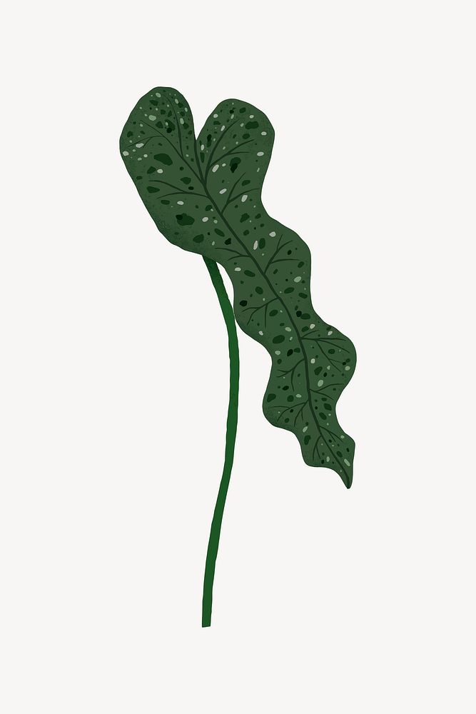 Philodendron leaf collage element vector