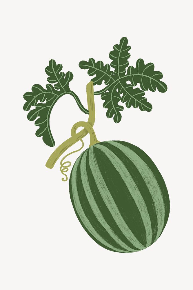 Watermelon fruit, cute food doodle psd