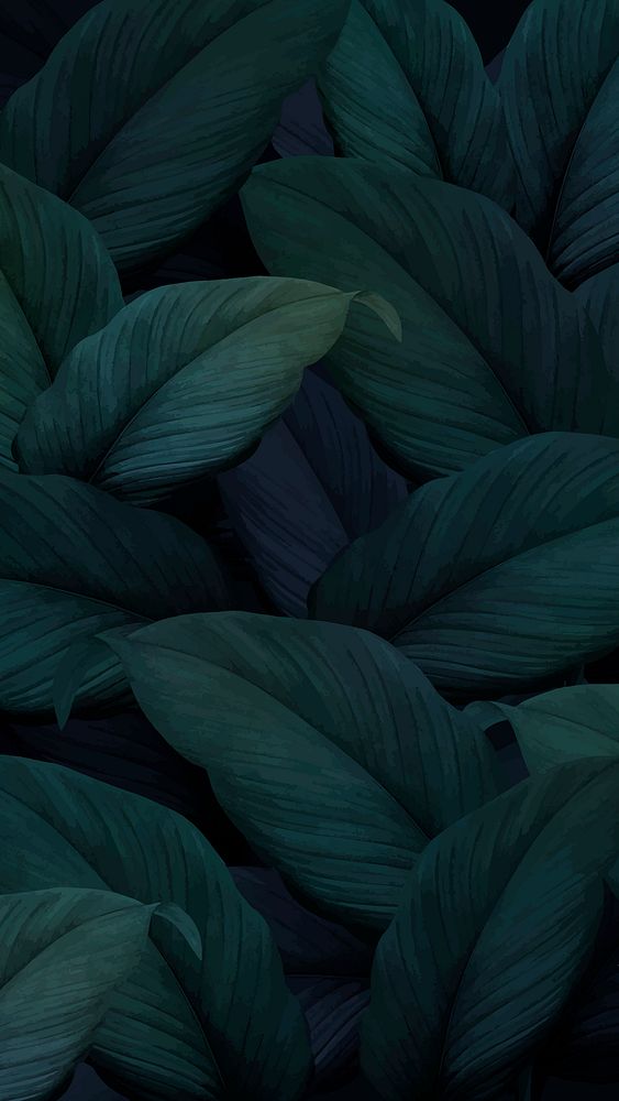 Green leaf iPhone wallpaper design