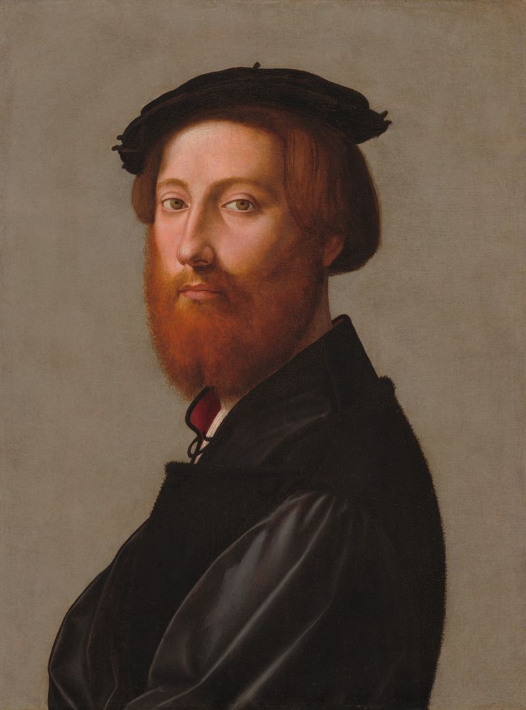 Leonardo de' Ginori (ca. 1528) by Giuliano Bugiardini.  