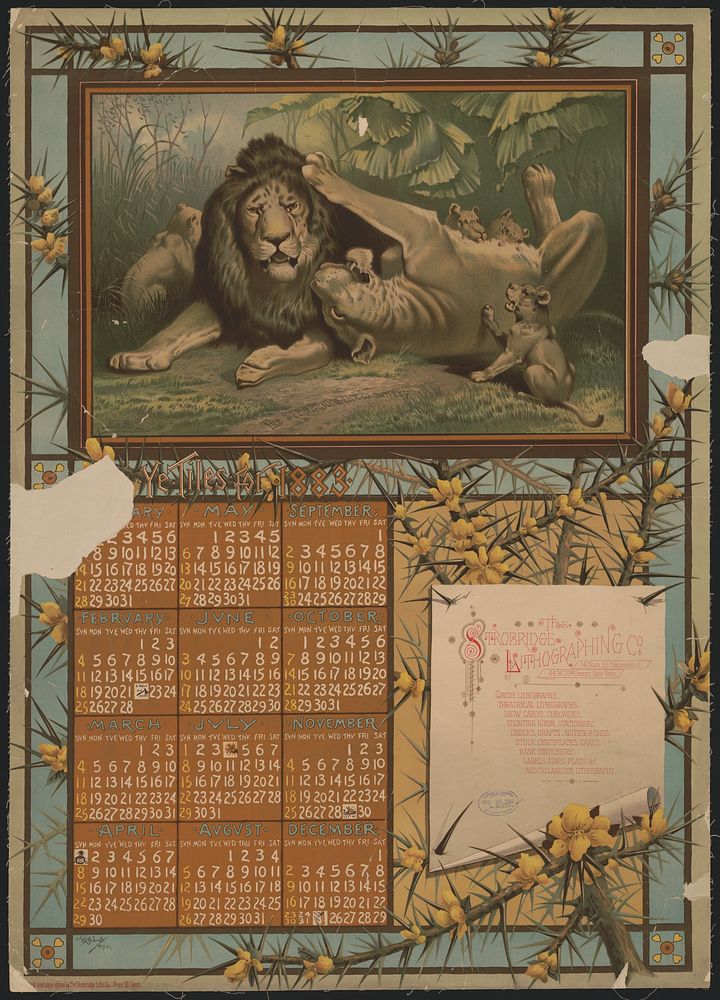 Ye tiles for 1882