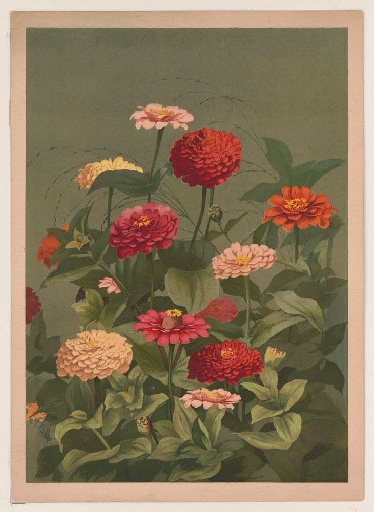 Flowers (1884) by L. Prang & Co.  