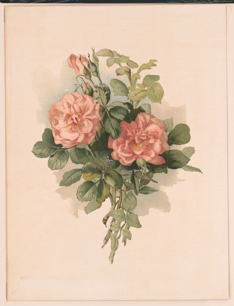 Original public domain image from Library of Congress