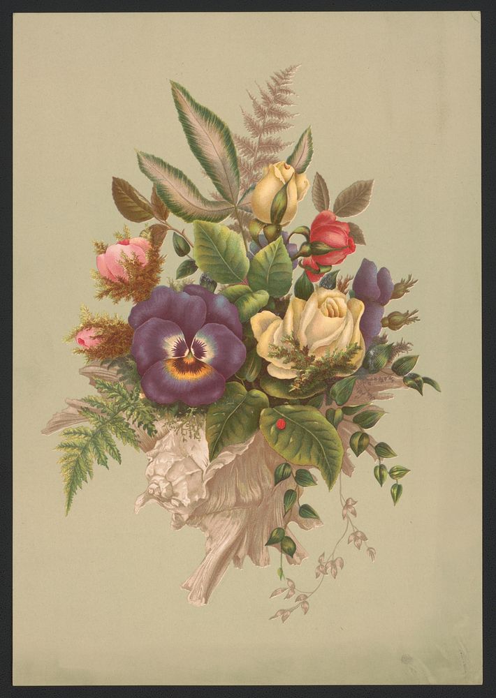 Bouquet no. 86 (1879) by L. Prang & Co.  