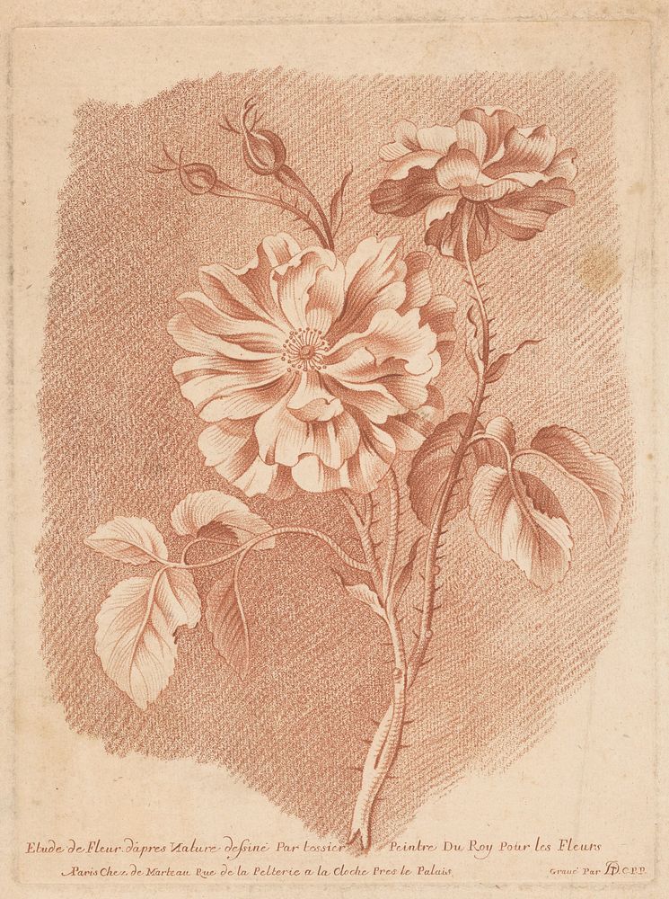 Bloemen (ca. 1755–1776) by Gilles Demarteau. 