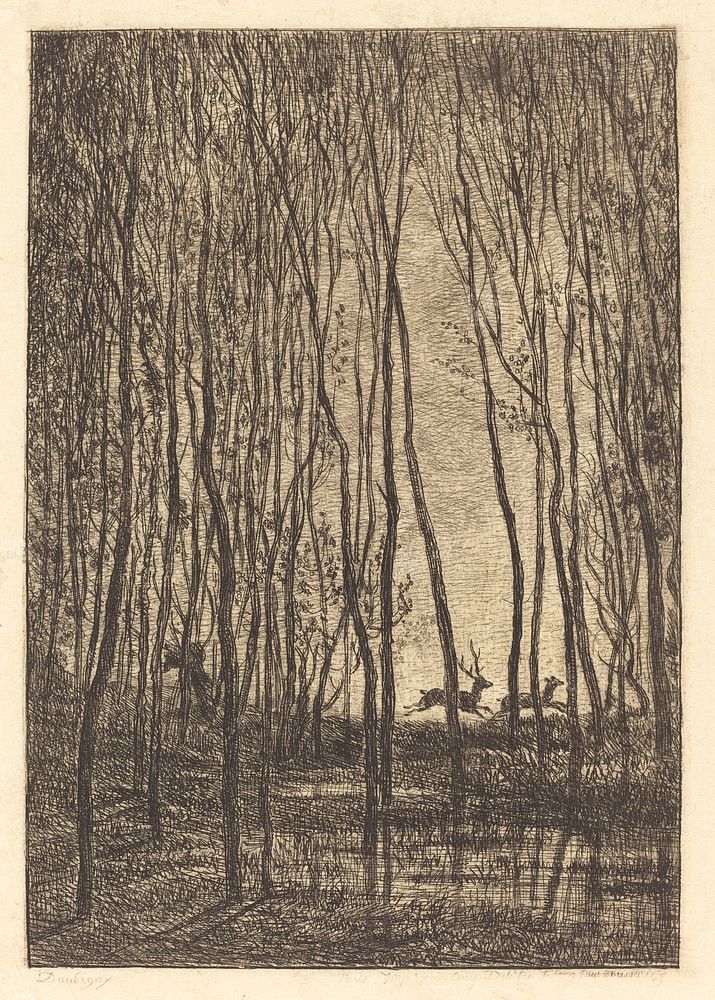 Deer in the Woods (Les Cerfs sous bois) (1850) print in high resolution by Charles-François Daubigny. 