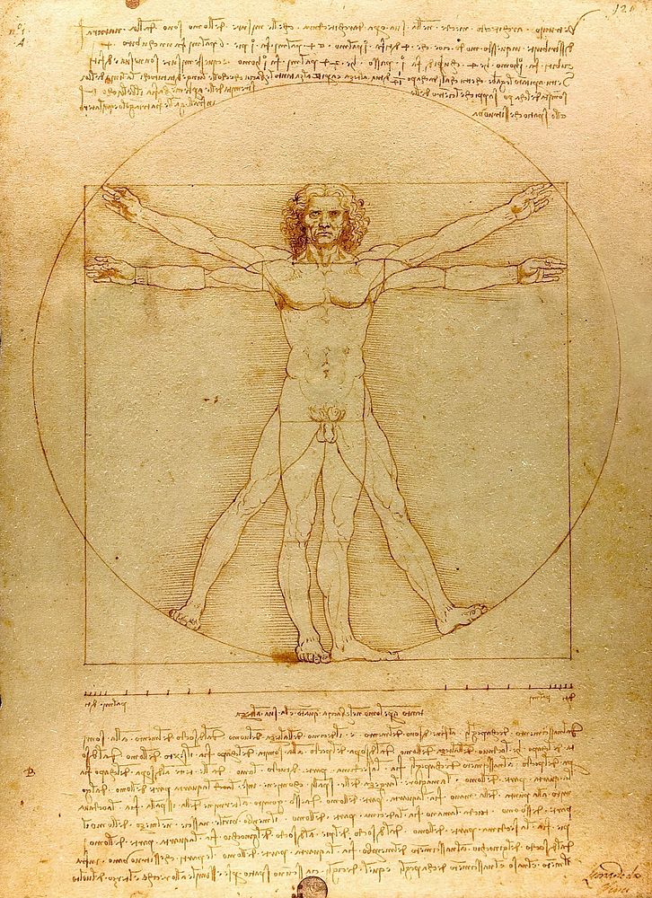 Leonardo da Vinci's Vitruvian Man (circa 1492) famous painting. Original from Wikimedia Commons. 
