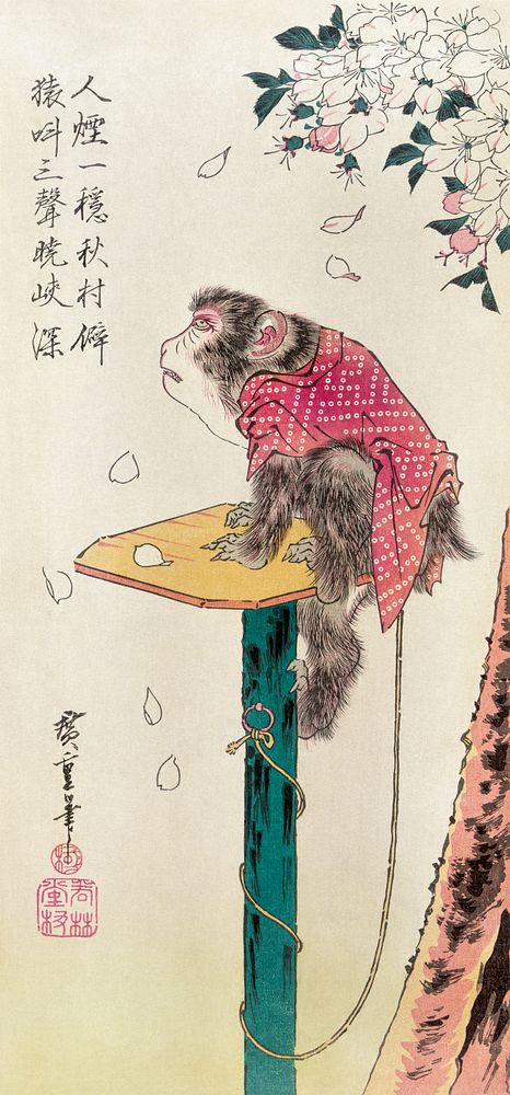 Monkey and falling cherry blossom (1830-1858) vintage Ukiyo-e style. Original public domain image from the Library of…