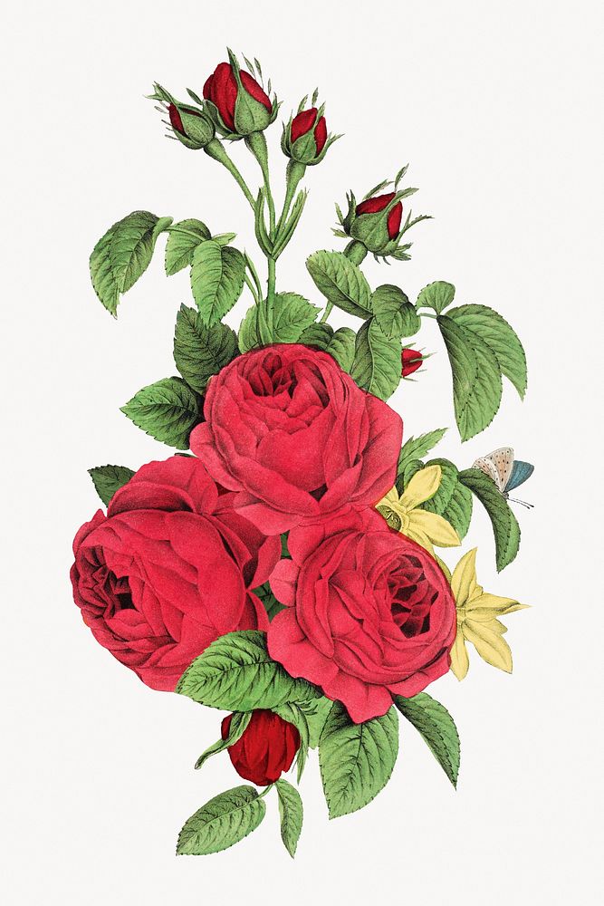 Aesthetic vintage rose bouquet illustration. Remixed by rawpixel.