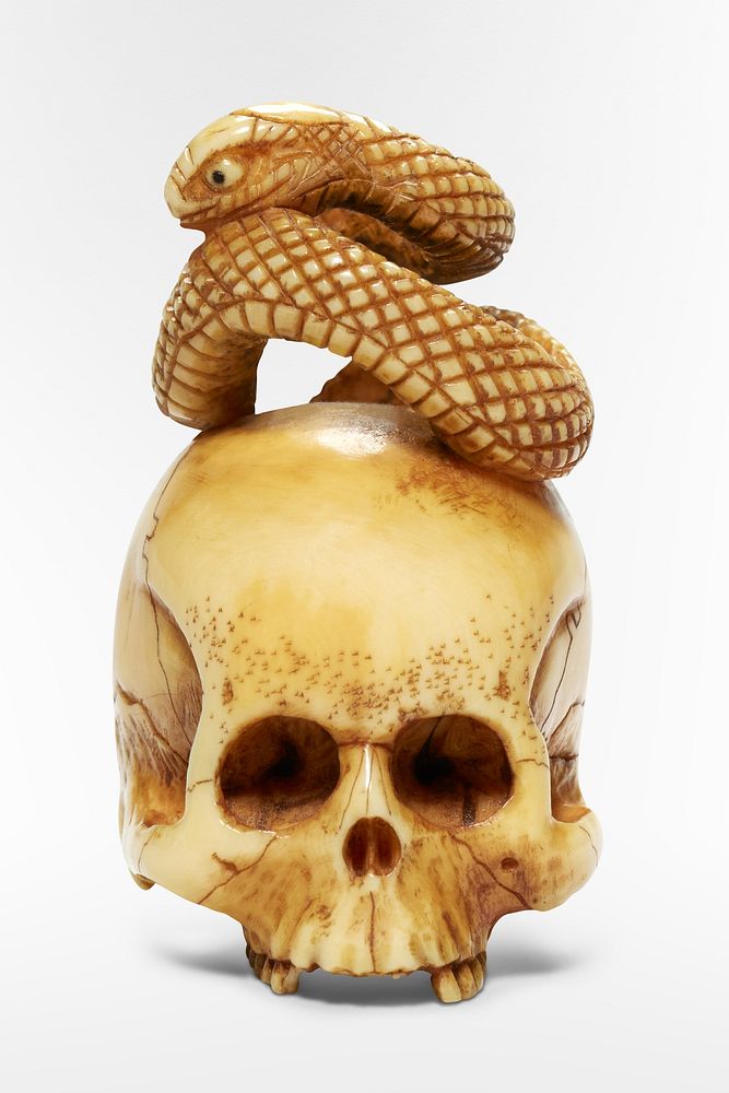 Snake sitting on a skull, ivory accessory. Original public domain image from The Minneapolis Institute of Art. Digitally…