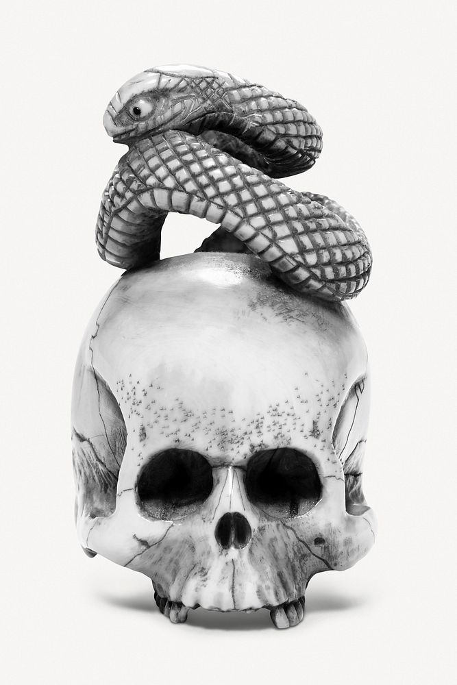 Aesthetic skull with snake psd. Remixed by rawpixel.