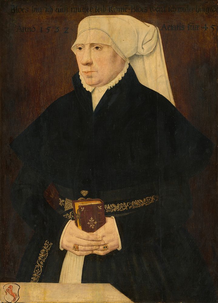 Portrait of a Lady (1532) from the German 16th Century.