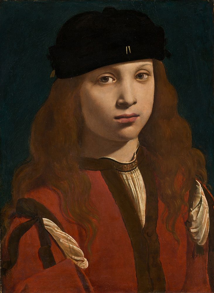 Portrait of a Youth (ca. 1495&ndash;1498) by Giovanni Antonio Boltraffio.  