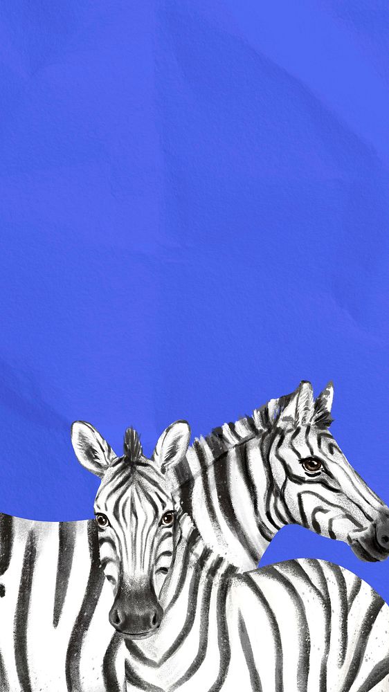 Blue mobile wallpaper, zebras animal design