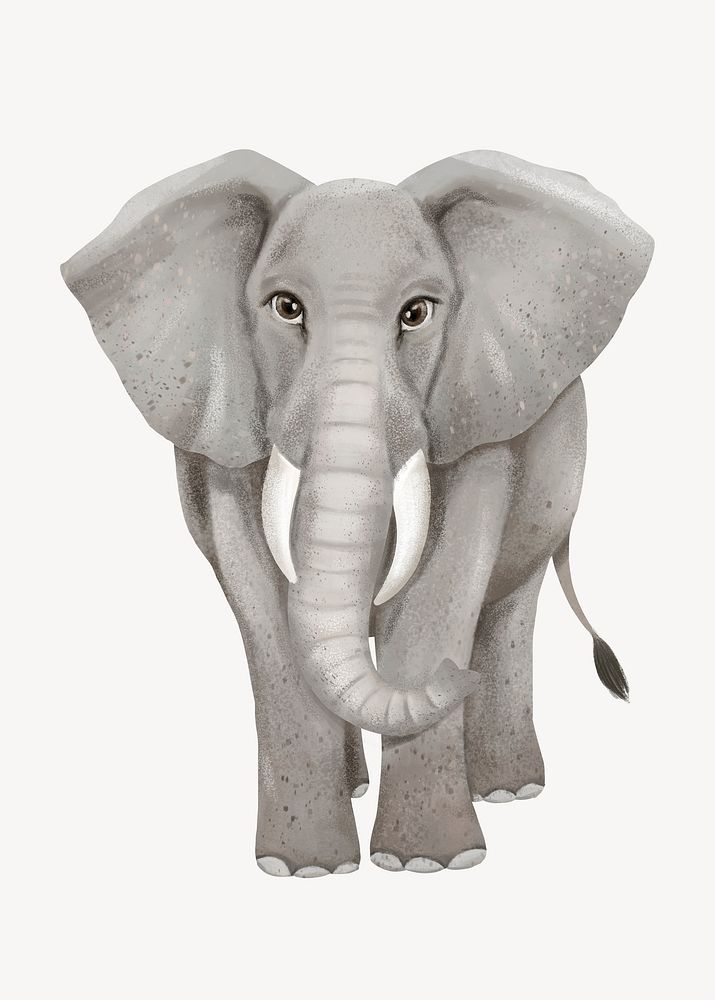 Elephant collage element, cute animal illustration