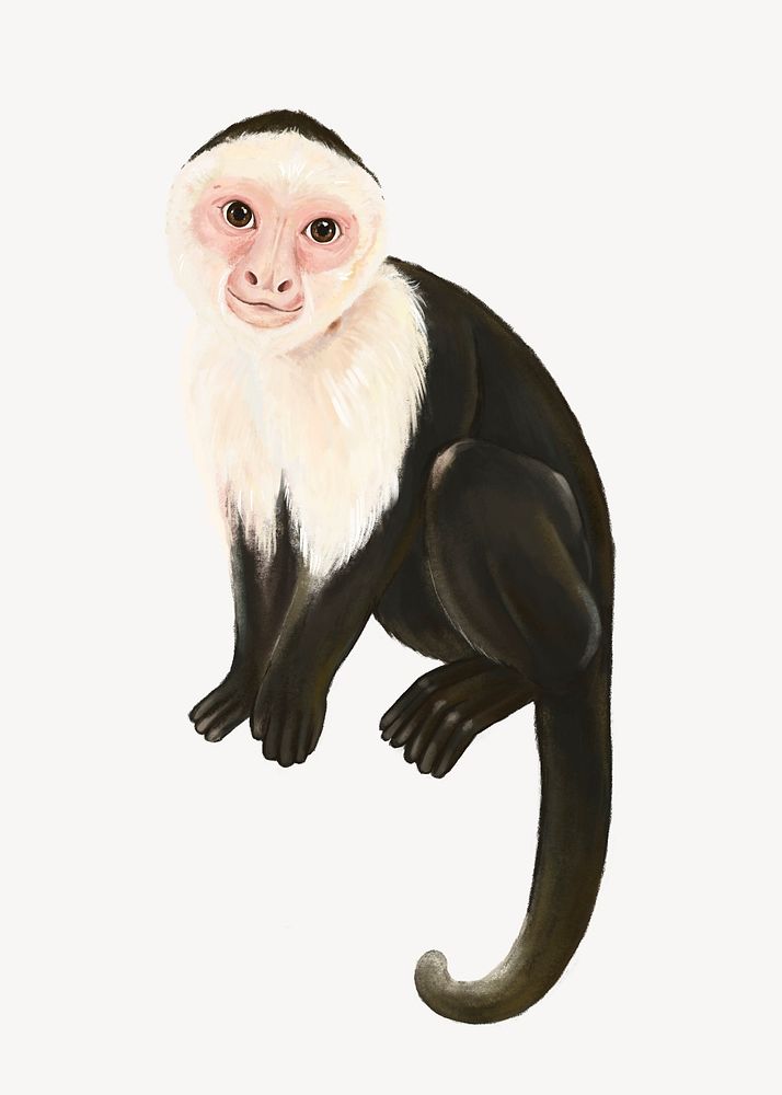 Monkey collage element, cute animal illustration psd