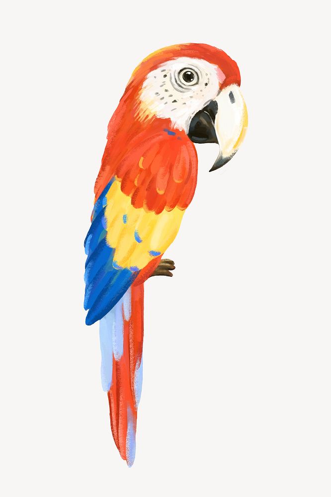 Macaw bird collage element, cute animal illustration