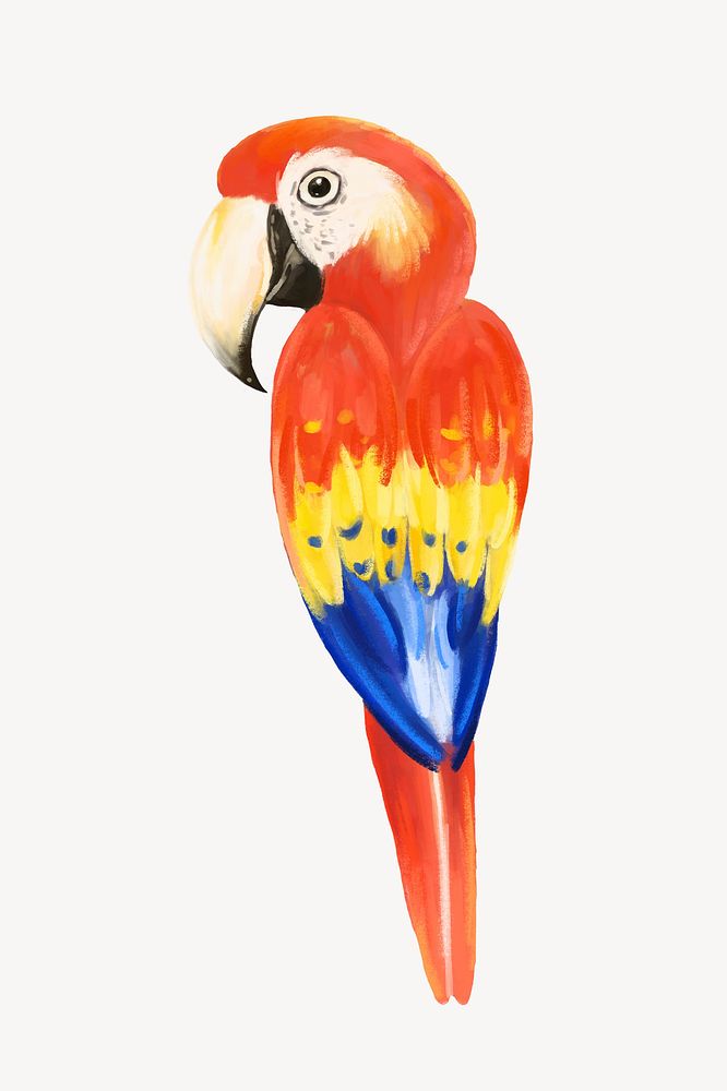 Macaw bird collage element, cute animal illustration