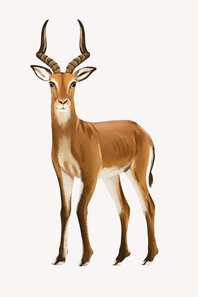 Impala collage element, cute animal illustration