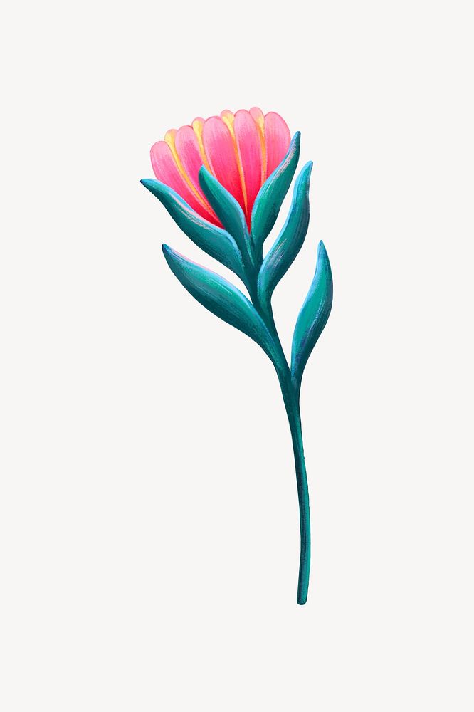 Aesthetic flower collage element, botanical illustration psd