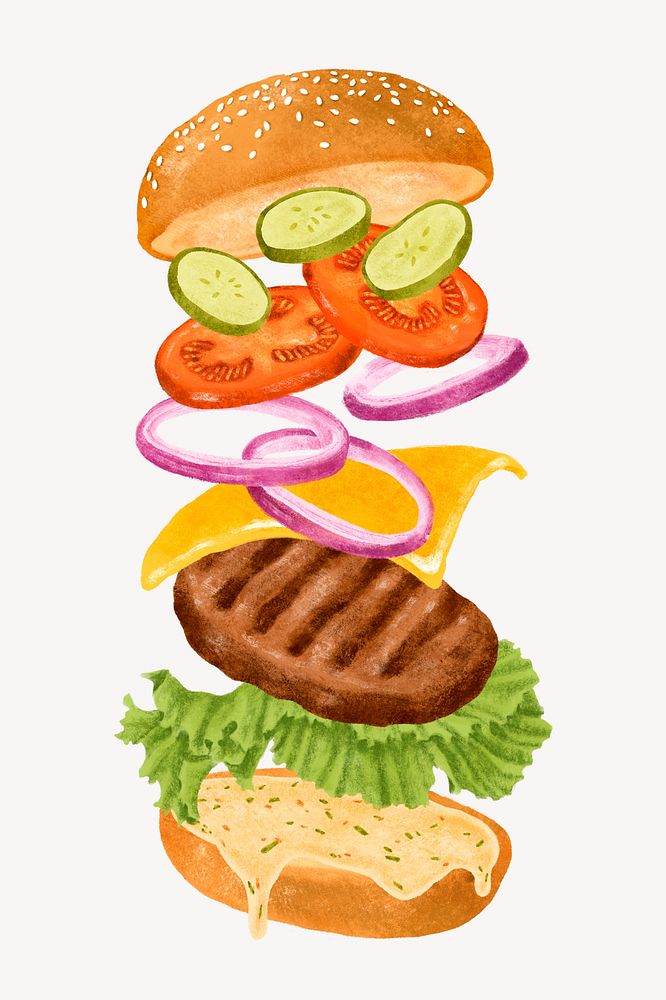 Hamburger anatomy, fast food illustration psd