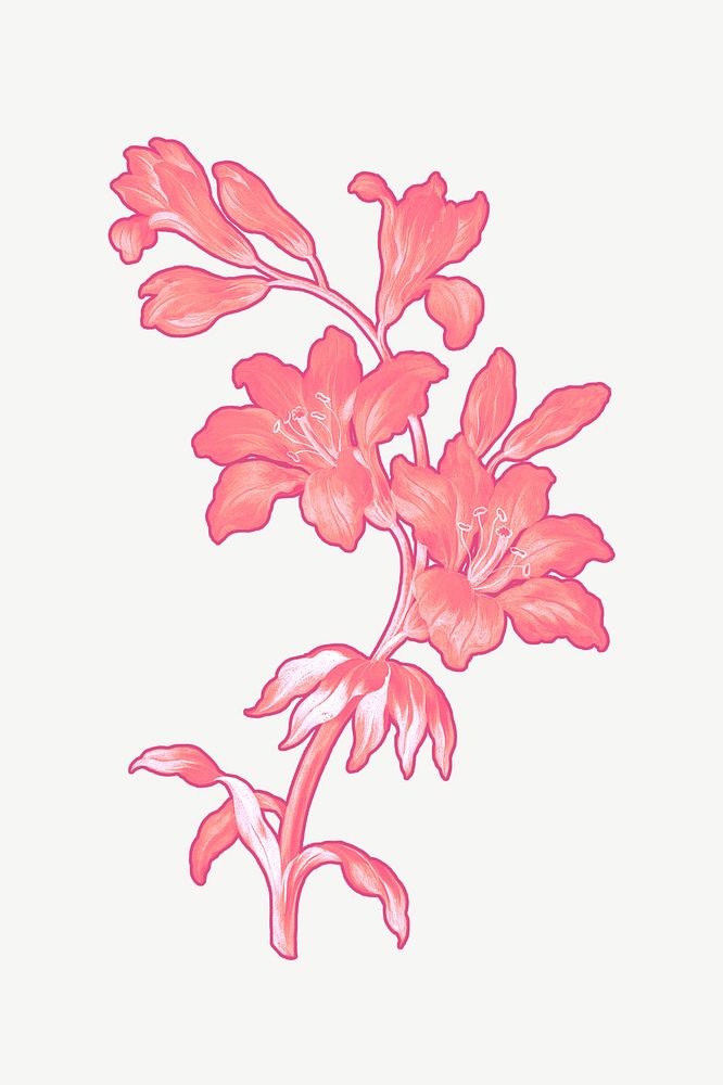 Pink flower clipart psd, remixed by rawpixel