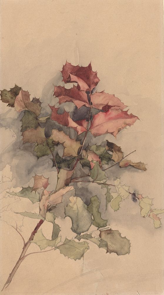 Study of the shrub (1900) by Karel Vitezslav Masek.  