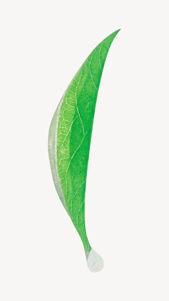 Green leaf collage element, isolated image psd