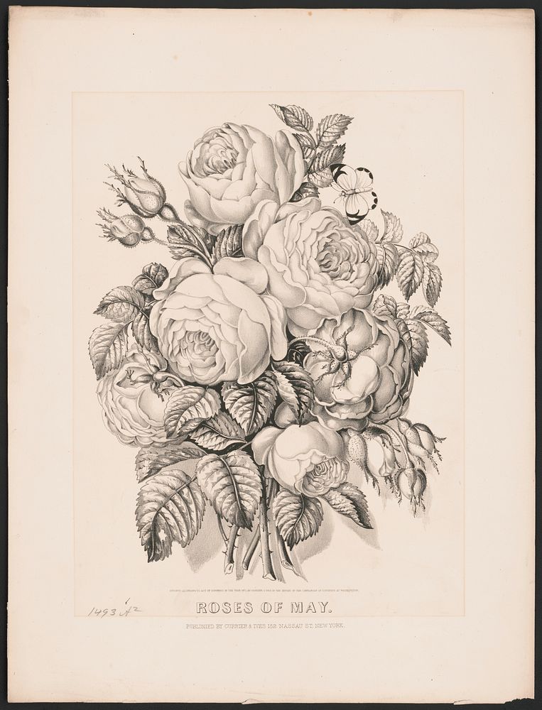 Original public domain image from Library of Congress